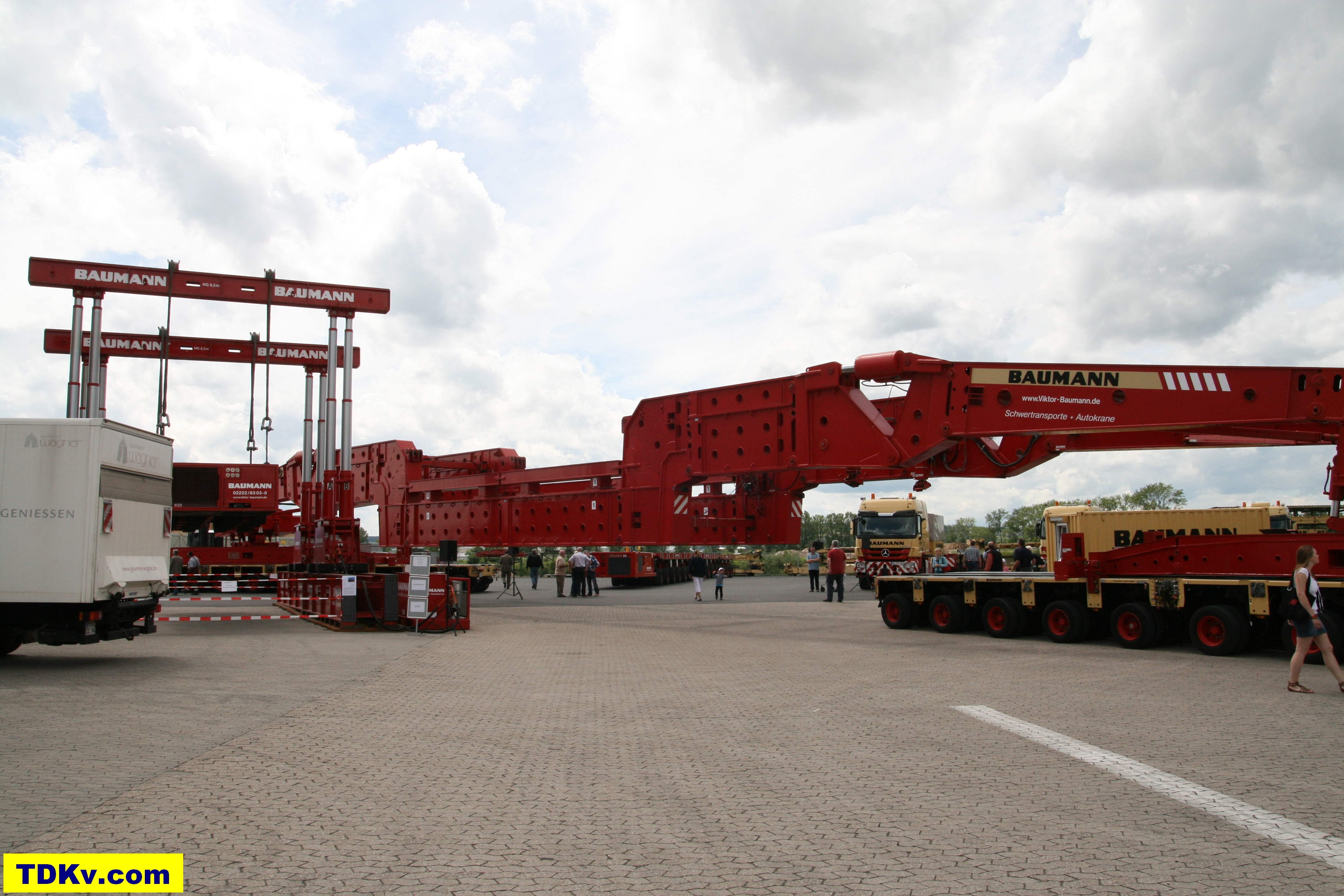 Baumann Greiner Vessel Bridge